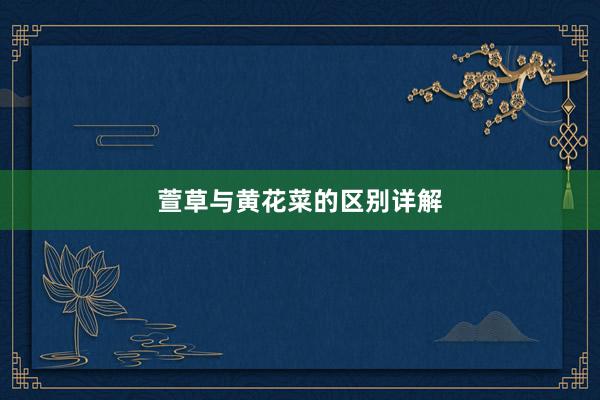 萱草与黄花菜的区别详解