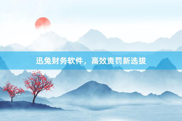 迅兔财务软件，高效责罚新选拔