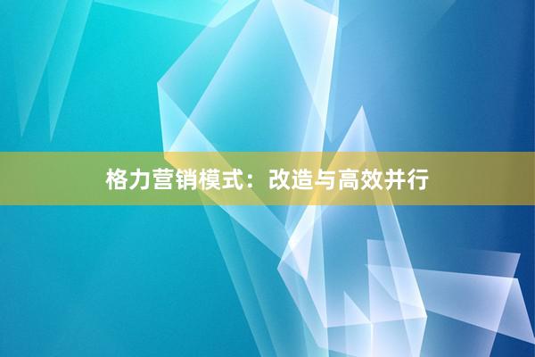 格力营销模式：改造与高效并行